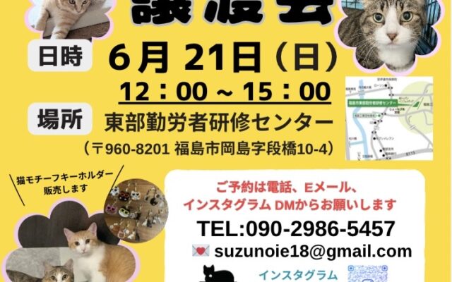 保護猫譲渡会