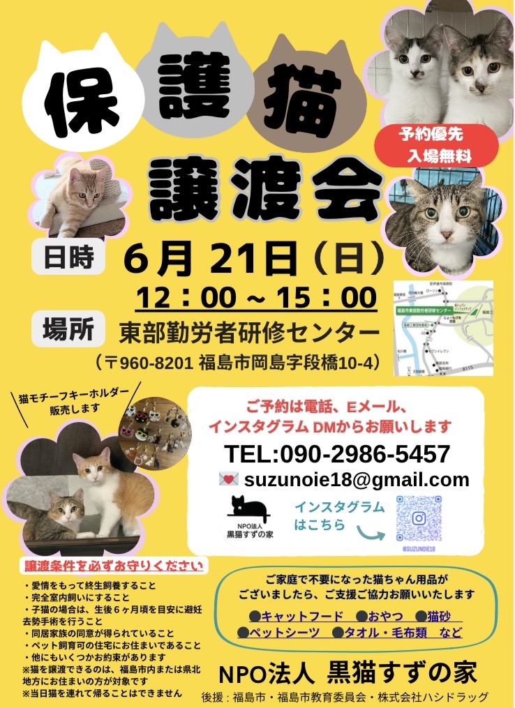 【保護猫譲渡会】譲渡会開催のお知らせ