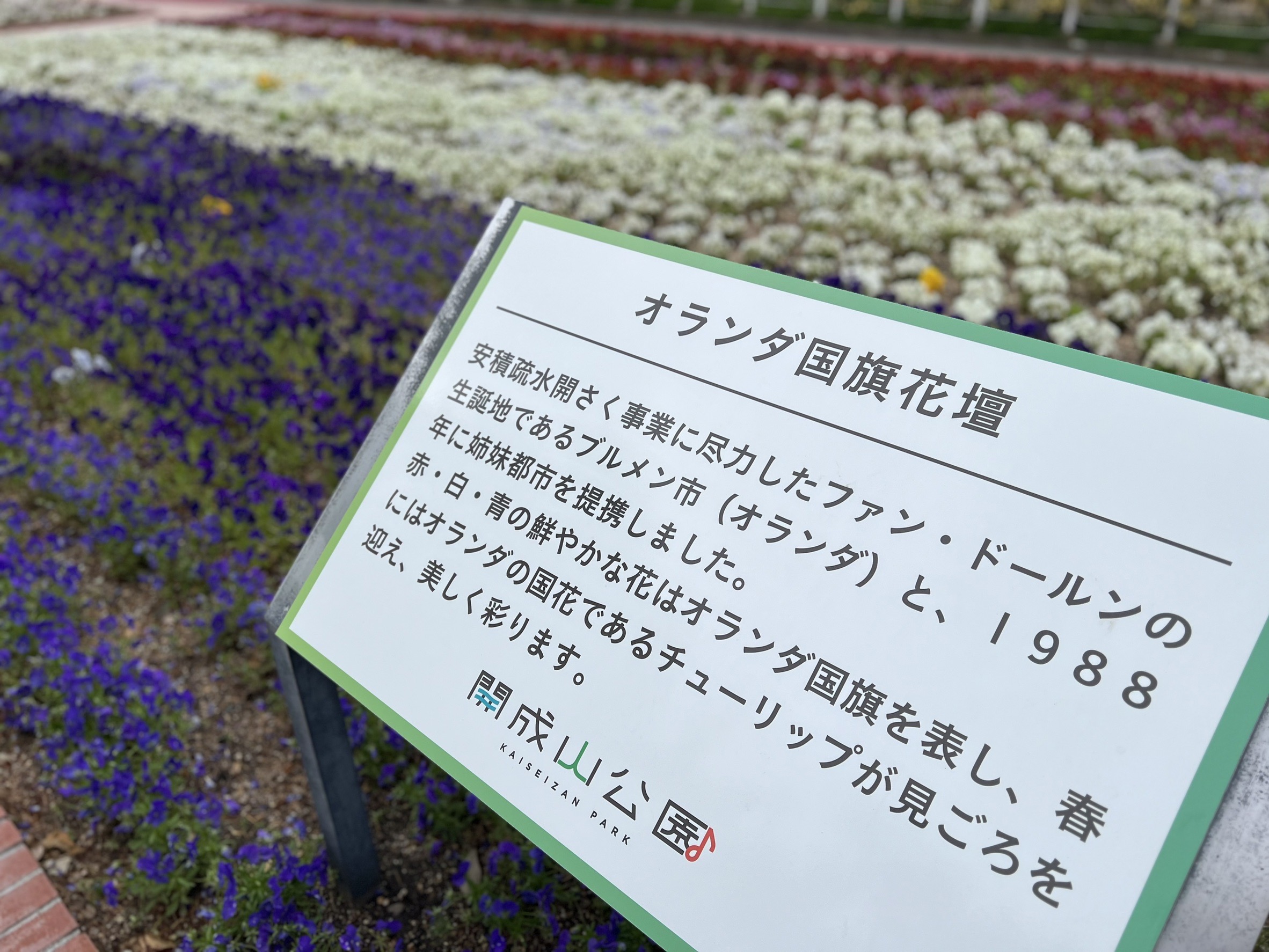 開成山公園 バラ園 花壇