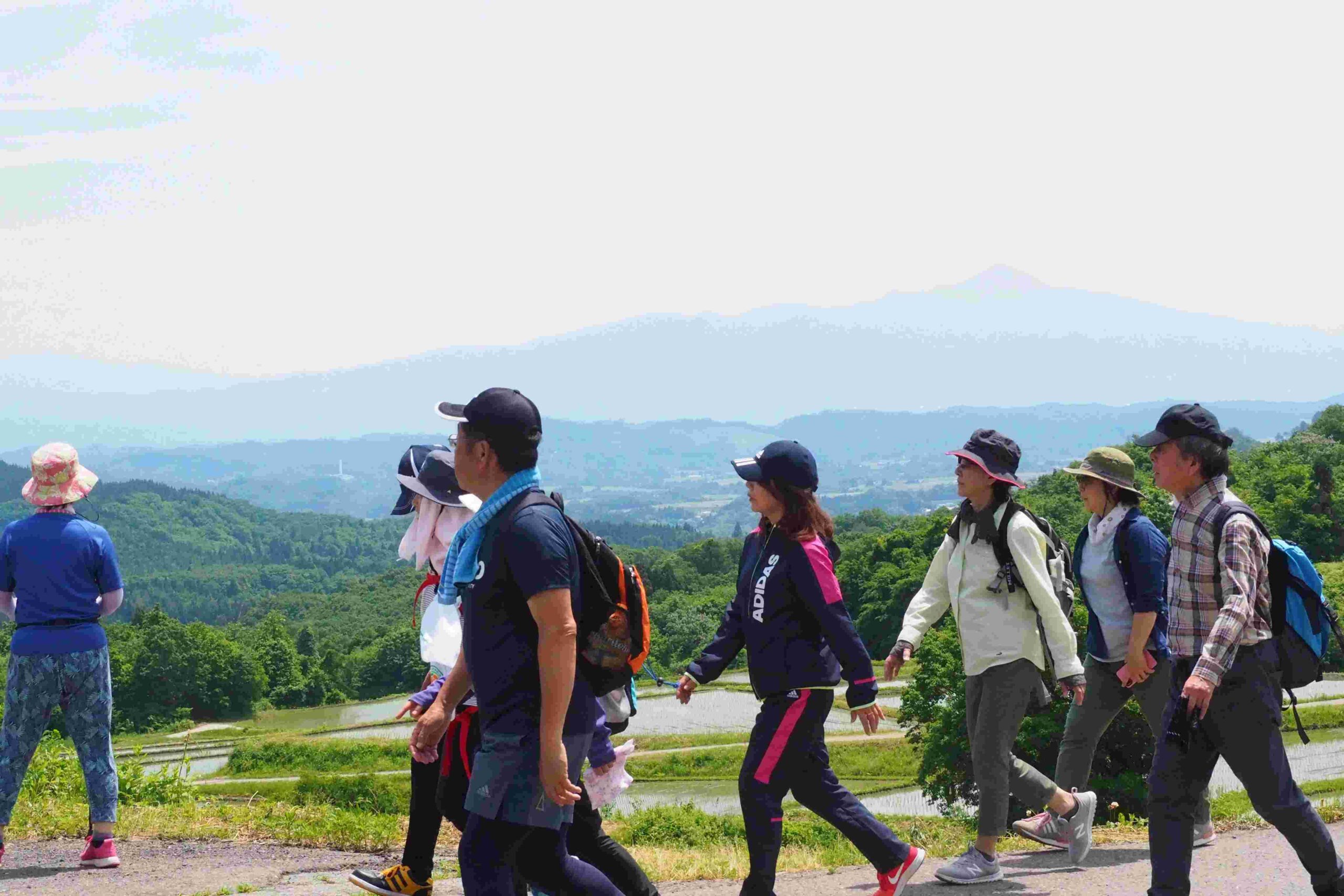 たかさと棚田ウォーク春