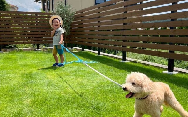 子どもと犬が庭で遊んでいる様子