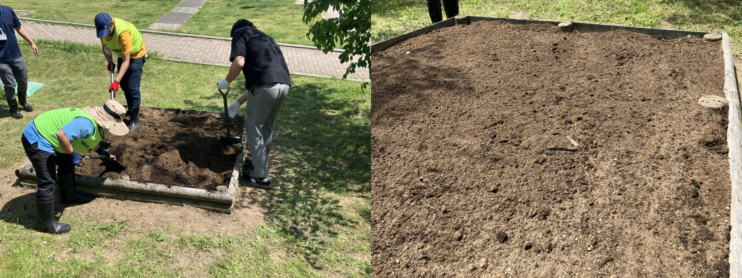 開成山公園花壇再生:スコップで土を耕す