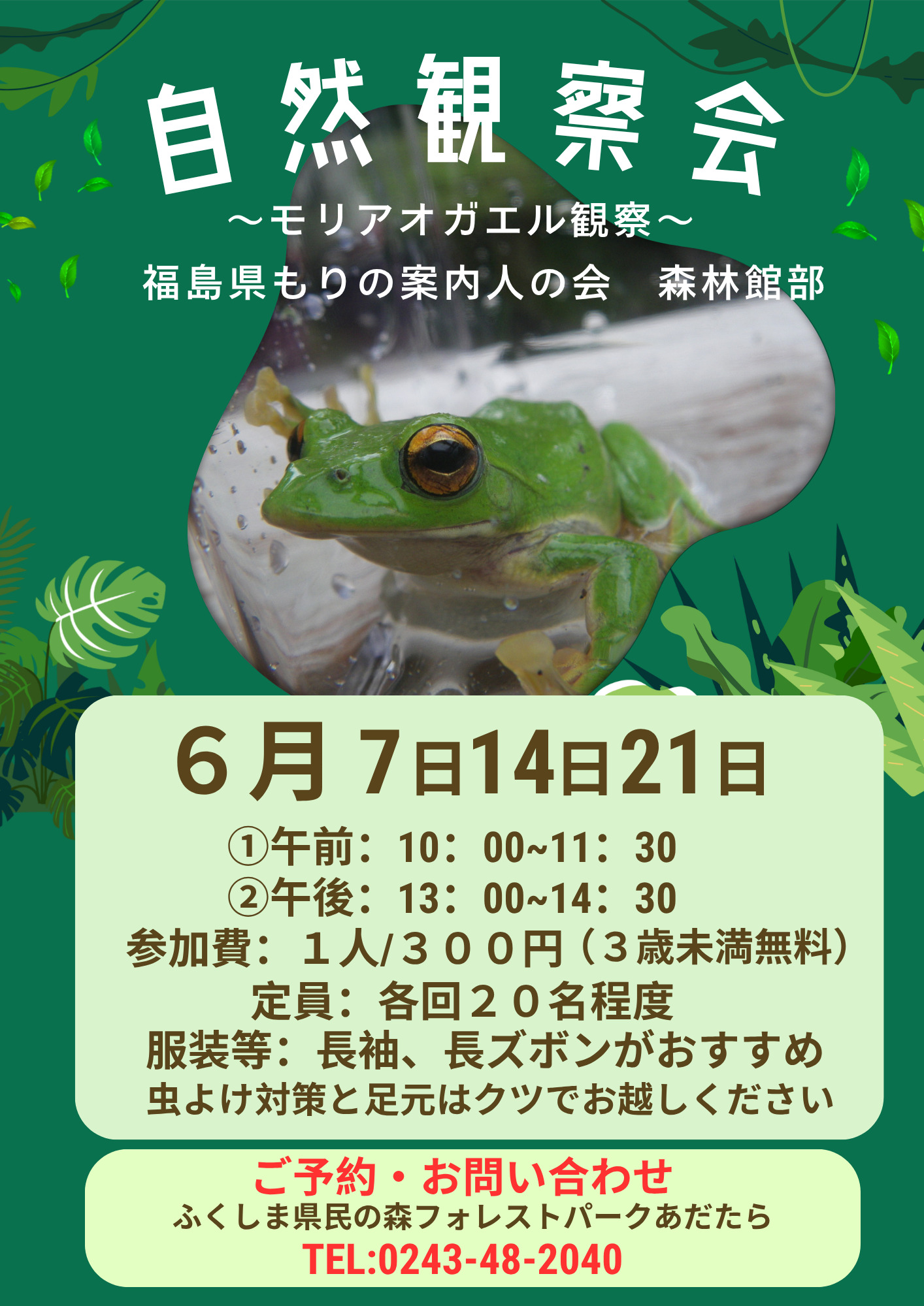 【フォレストパークあだたら】モリアオガエル観察