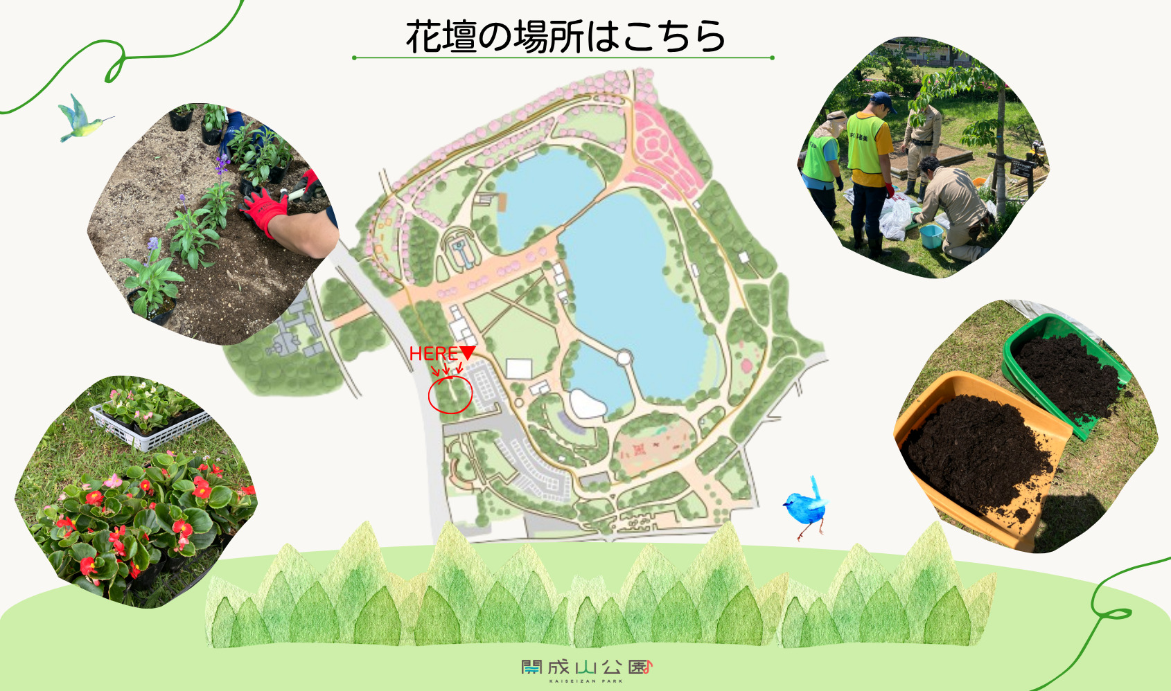 開成山公園花壇案内