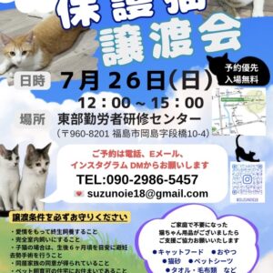 子猫もたくさん　保護猫譲渡会