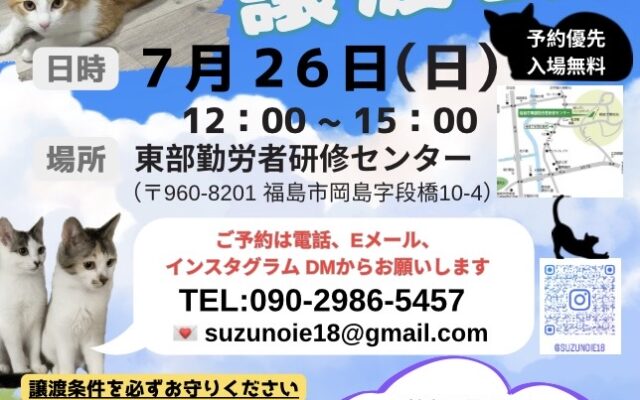 子猫もたくさん　保護猫譲渡会