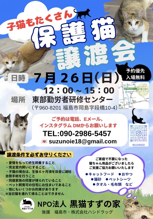 【保護猫譲渡会】子猫もたくさん♪保護猫譲渡会