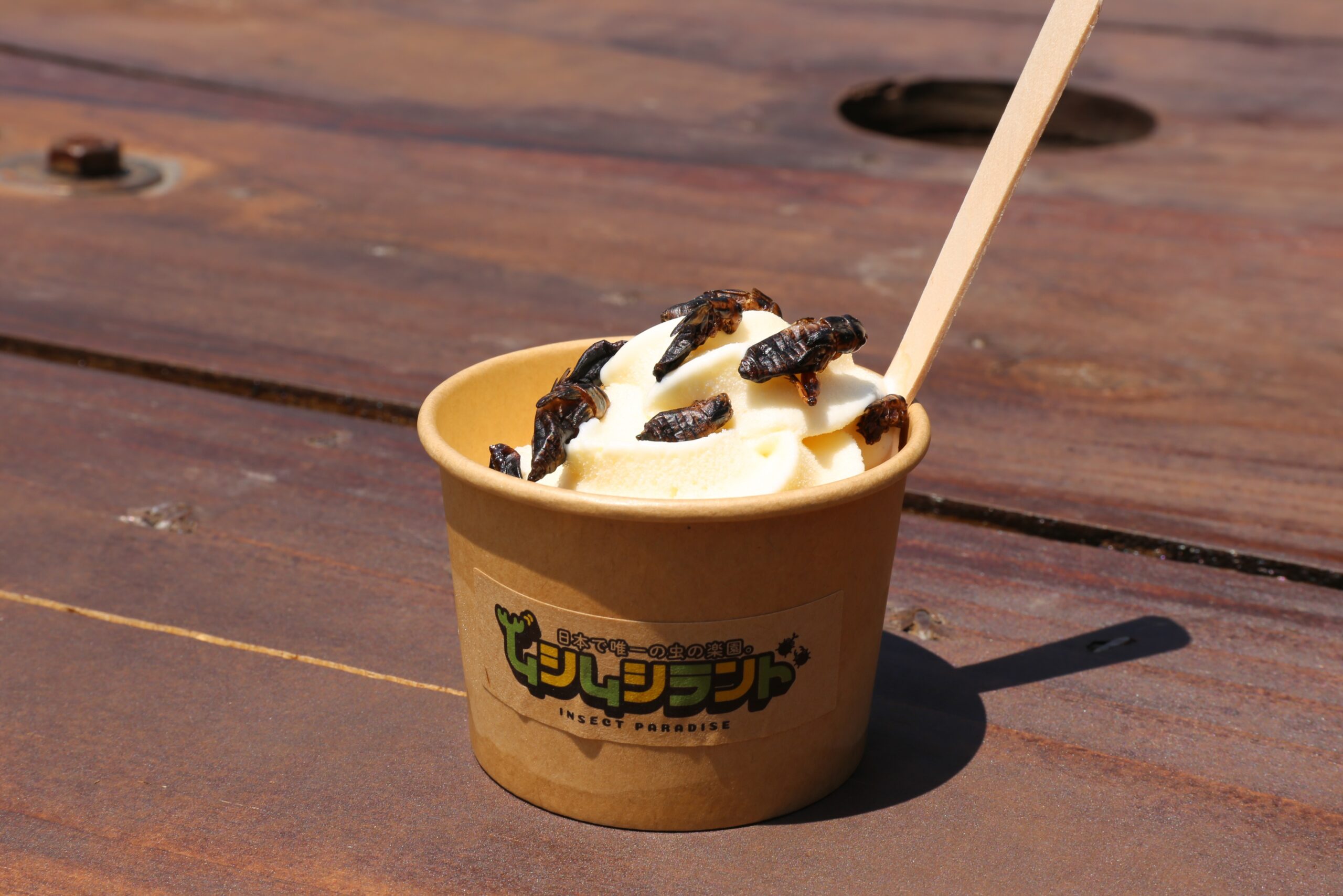 ムシムシランド「ソフトクリーム」