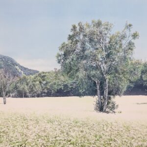 遠藤和雄水彩画展〜光織りなす風景〜