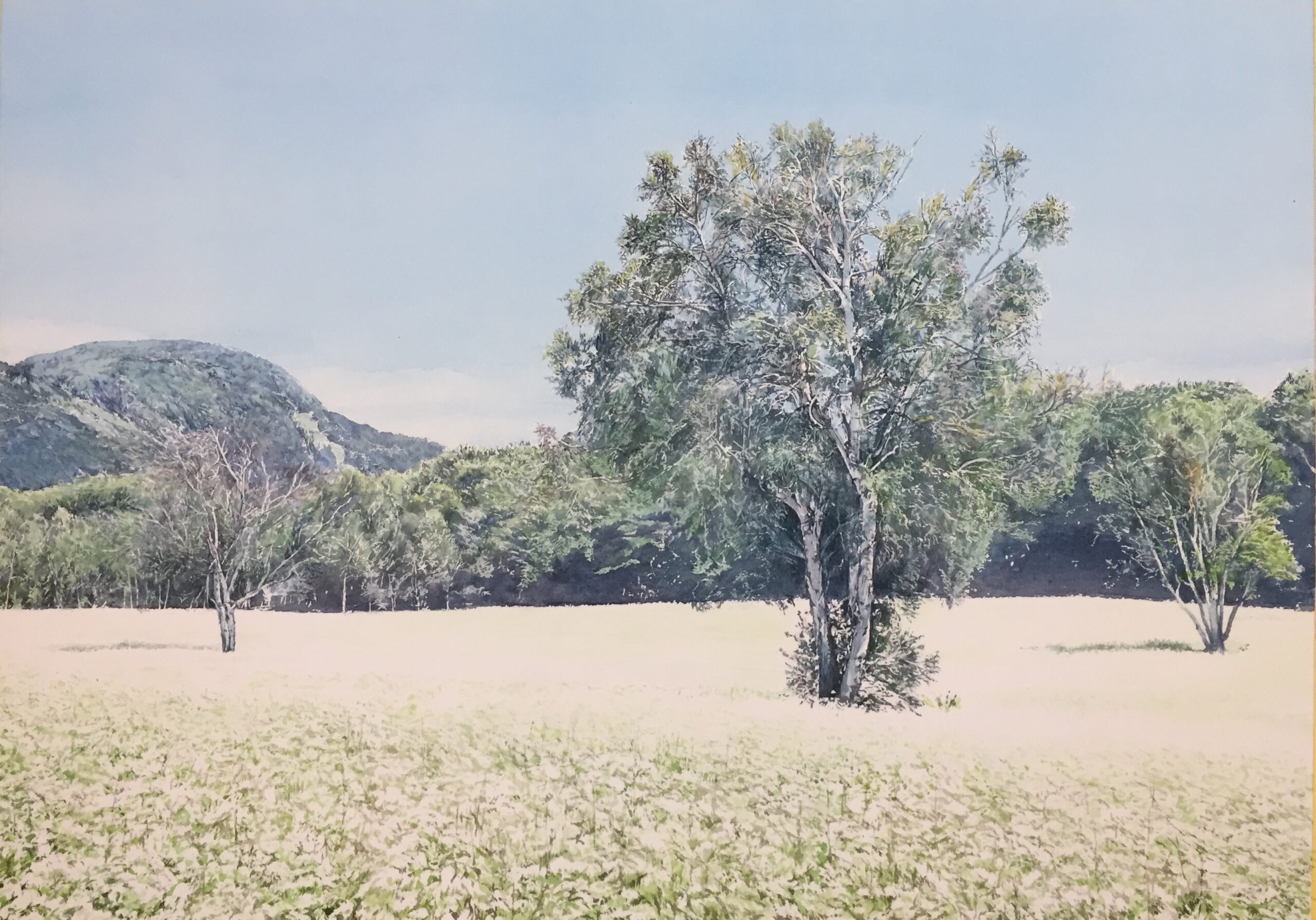 遠藤和雄水彩画展〜光織りなす風景〜