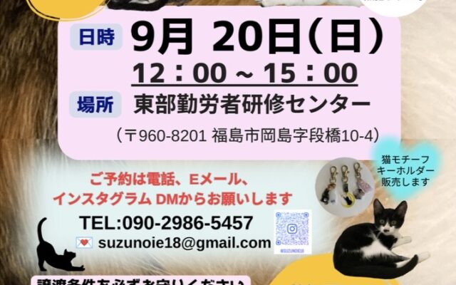 保護猫譲渡会