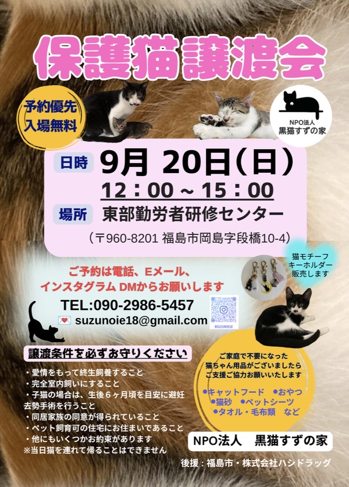 【保護猫譲渡会】譲渡会開催のお知らせ
