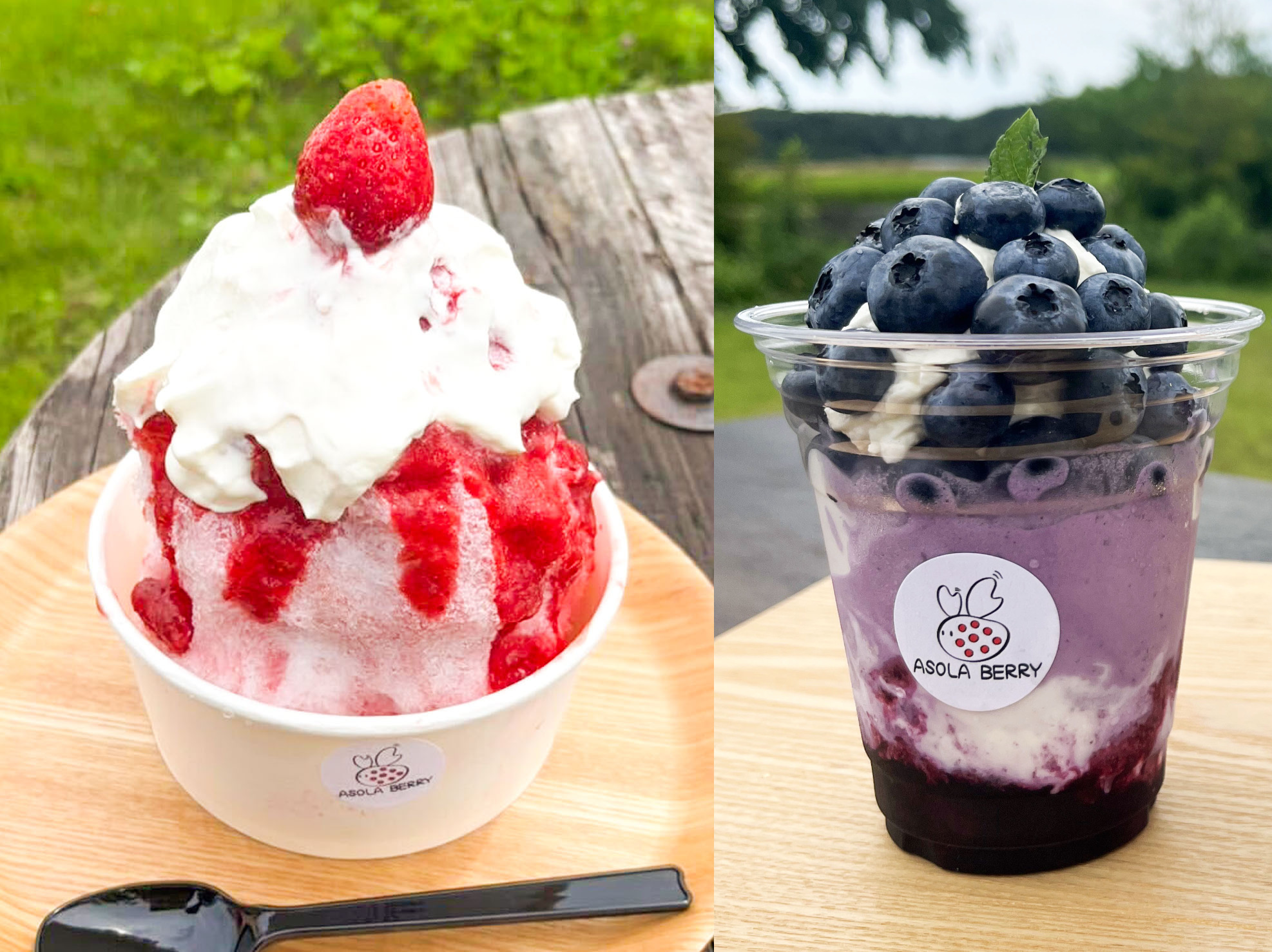 [左]いちごかき氷1,300円[右]ブルーベリーパフェ1,500円 