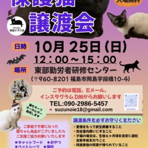 保護猫譲渡会